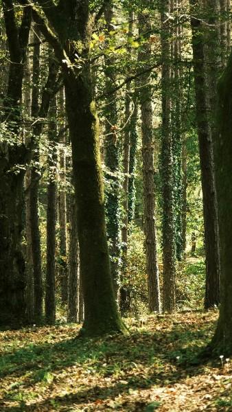 L’ANNULATION D’UN PLUI PEUT-ELLE REPOSER SUR LE CALCUL DES ENAF ?