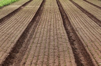 DES LOGEMENTS PEUVENT-ILS ÊTRE CONSTRUITS EN ZONE AGRICOLE ?